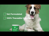 Open Farm Immune Supplement Chews for Dogs - 90 Chews